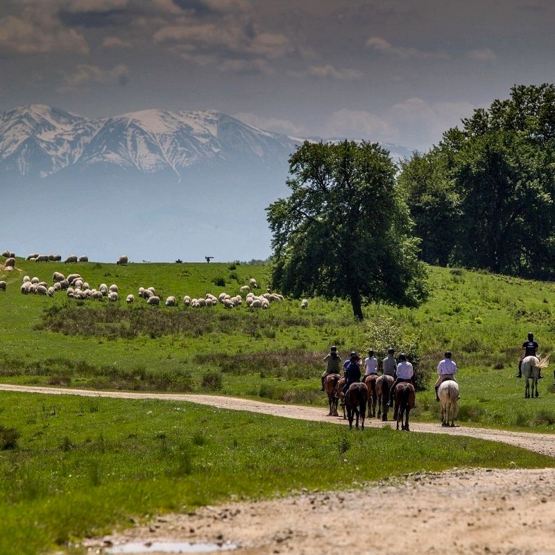 Transylvania Tours